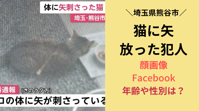 猫に矢を放った犯人の顔やFacabookは？埼玉熊谷市のどこ？動物愛護法違反！